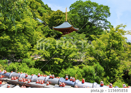 勝尾寺 初夏の新緑と満開のあじさい 勝尾寺 初夏の新緑と満開のあじさい 115695858