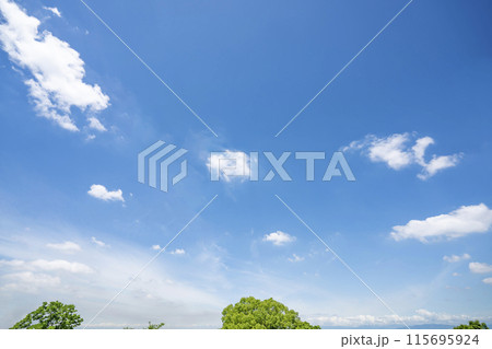 初夏の雲と木立 初夏の雲と木立 115695924