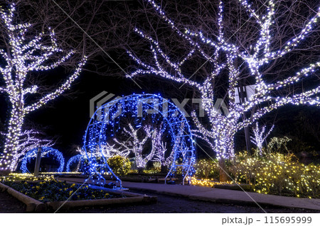 【神奈川県・江ノ島】湘南の宝石イルミネーション 【神奈川県・江ノ島】湘南の宝石イルミネーション 115695999