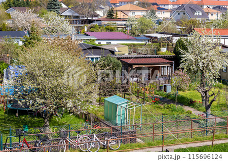 Many traditional german small garden allotment area with huts, tree flower vegetable growing at warm sunny summer day. Schrebergarten typical kleingarten community at city in Germany 115696124