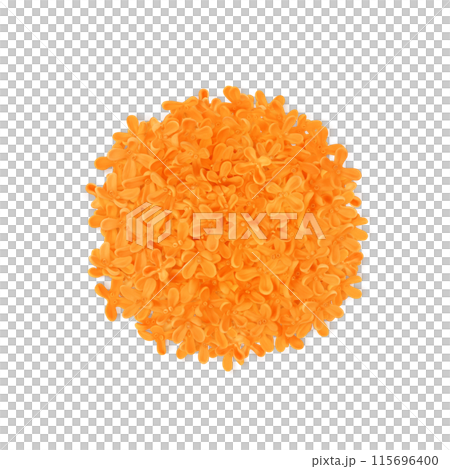 桂花圖現實白色背景 115696400