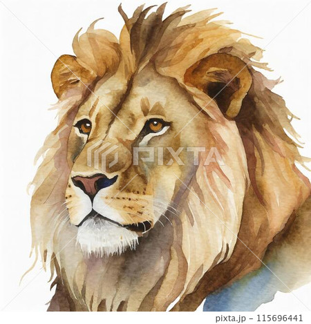 ライオン 115696441