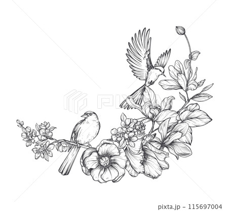 Beautiful hand drawn vector composition with black and white blooming spring garden flowers, birds Beautiful hand drawn vector composition with black and white blooming spring garden flowers, birds 115697004