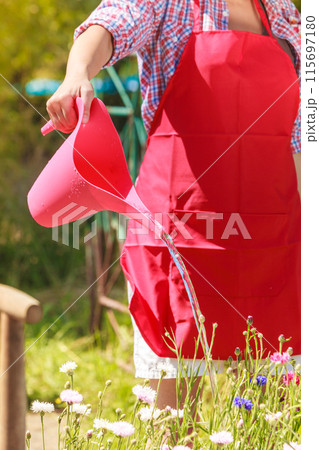 woman watering plants in garden 115697180