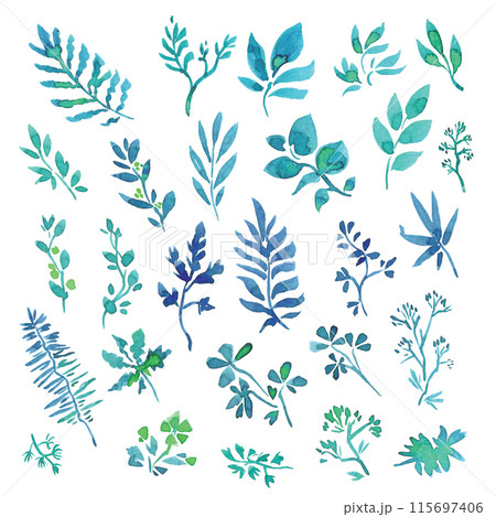 Set of various tree leaves. Hand drawn with watercolor. Isolated Set of various tree leaves. Hand drawn with watercolor. Isolated 115697406