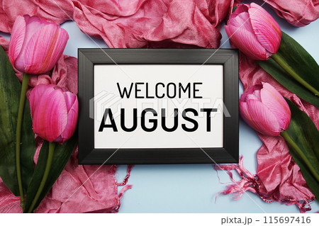 Welcome August text message with pink tulip flower on blue background Welcome August text message with pink tulip flower on blue background 115697416