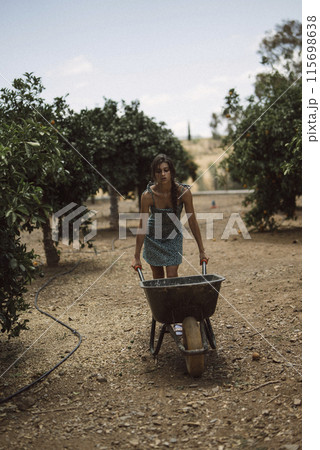 A woman is pushing a wheelbarrow in an orchard, engaged in outdoor gardening and farming activities A woman is pushing a wheelbarrow in an orchard, engaged in outdoor gardening and farming activities 115698638