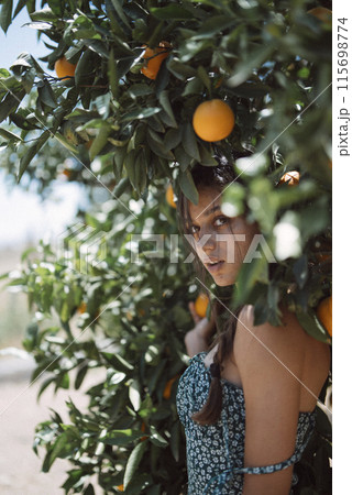 Young womans photoshoot in an orange grove under the sunshine capturing beautiful moments 115698774