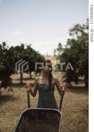 A woman farmer working in an orchard under a bright blue sky, showing dedication to agriculture A woman farmer working in an orchard under a bright blue sky, showing dedication to agriculture 115698861