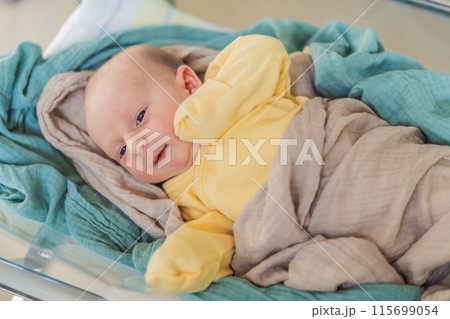 A newborn rests peacefully in his transparent bassinet in the hospital. The clear bassinet provides visibility for medical staff to monitor the baby's well-being while ensuring a safe and comfortable A newborn rests peacefully in his transparent bassinet in the hospital. The clear bassinet provides visibility for medical staff to monitor the baby's well-being while ensuring a safe and comfortable 115699054