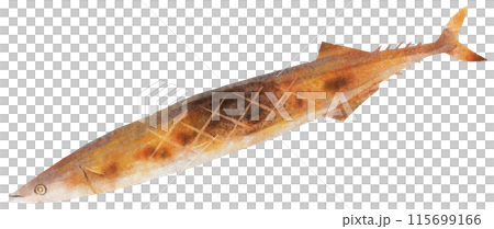 水彩鹽烤旗魚 水彩鹽烤旗魚 115699166