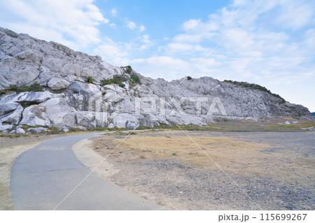 【白崎海洋公園】 和歌山県日高郡由良町大引 115699267