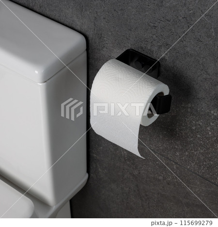 Black Toilet Paper Holder on Gray Wall 115699279