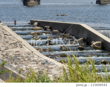 大和川柏原堰堤の魚道 115699583