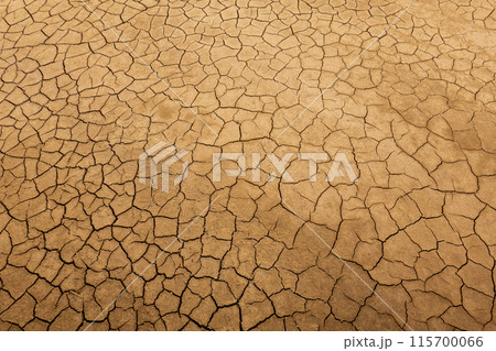 Cracked dry earth due to drought in a desert area Cracked dry earth due to drought in a desert area 115700066