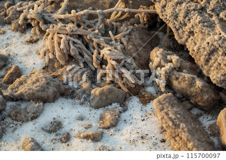 Close-up of salt formations and rocks in a desert environment 115700097