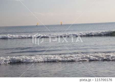 湘南の海でサーフィンをする人々 115700176