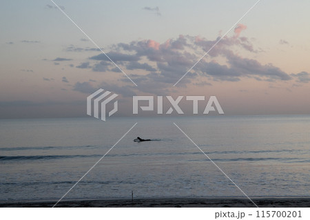 湘南の海に沈む夕日とサーファー 115700201