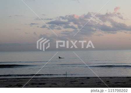 湘南の海に沈む夕日とサーファー 115700202
