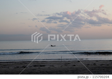 湘南の海とサーファー 115700204