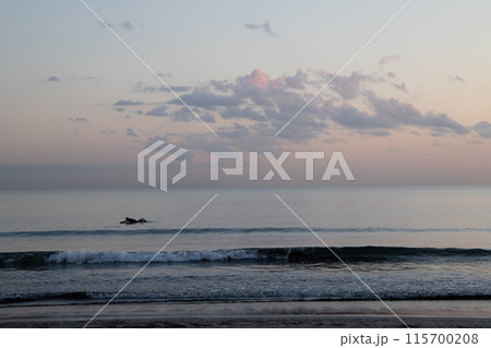 海に沈む夕日 海に沈む夕日 115700208