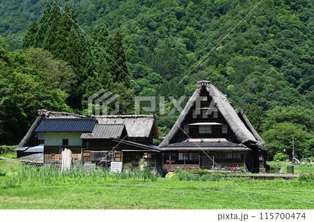 深緑の五箇山菅沼集落 深緑の五箇山菅沼集落 115700474