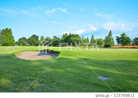 人無し　寂しいゴルフ場　初夏の風景　　　　 115700611