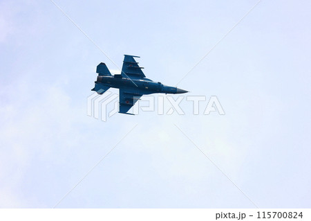 F-2 戦闘機の低空飛行 F-2 戦闘機の低空飛行 115700824