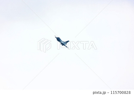 F-2 戦闘機の低空飛行 F-2 戦闘機の低空飛行 115700828