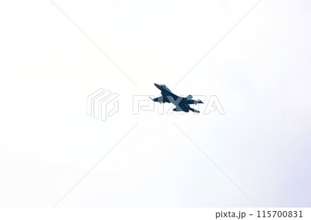 F-2 戦闘機の低空飛行 F-2 戦闘機の低空飛行 115700831