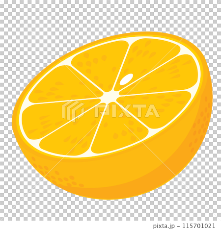 半分に切ったオレンジのイラスト カラー 線なし 半分に切ったオレンジのイラスト カラー 線なし 115701021