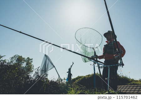 コイ釣り コイ釣り 115701462