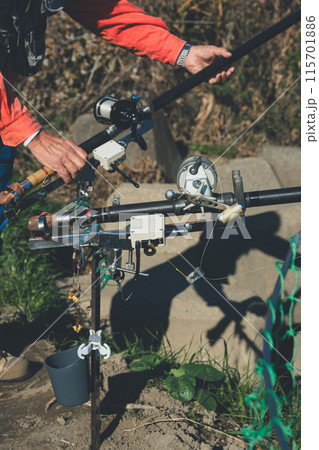 コイ釣り コイ釣り 115701886