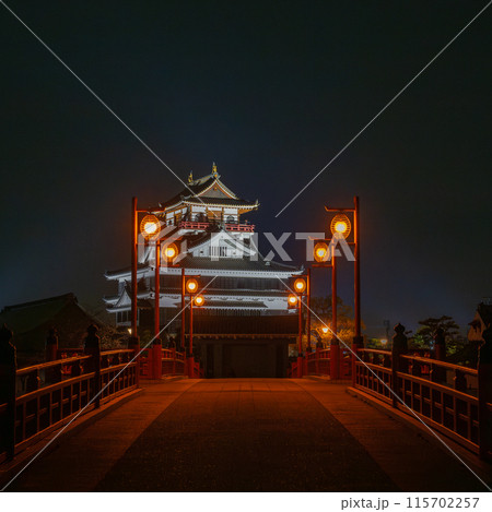 ライトアップされた清須城　夜景　 115702257