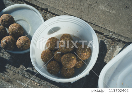 コイ釣り コイ釣り 115702402