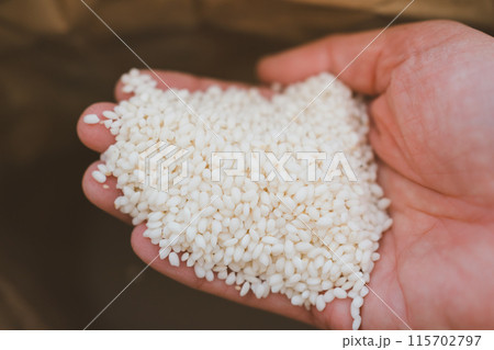 もち米 115702797