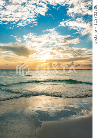 Paradise beach in Punta Norte, Isla Mujeres, Mexico 115702886