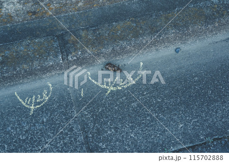 イエローチョーク作戦 イエローチョーク作戦 115702888