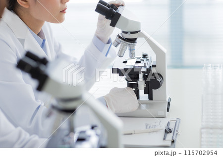 研究をする白衣の女性 実験　顕微鏡 115702954