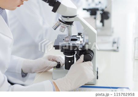 研究をする白衣の女性 実験　顕微鏡 115702958