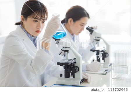 研究をする白衣の女性 実験　顕微鏡 115702966