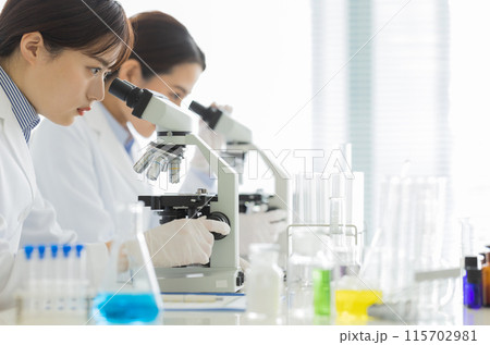 研究をする白衣の女性 実験　顕微鏡 115702981