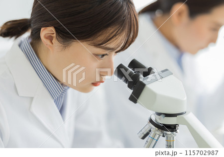 研究をする白衣の女性 実験 顕微鏡 研究をする白衣の女性 実験 顕微鏡 115702987