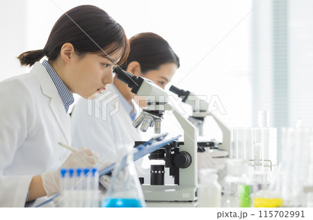 研究をする白衣の女性 実験　顕微鏡 115702991