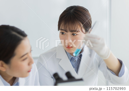 研究をする白衣の女性 実験　顕微鏡 115702993