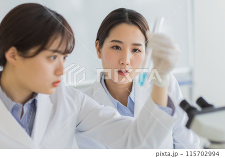 研究をする白衣の女性 実験　顕微鏡 115702994