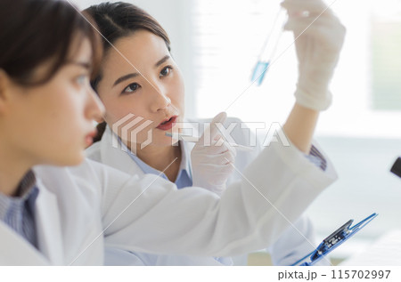 研究をする白衣の女性 実験　顕微鏡 115702997