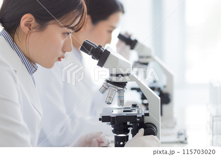 研究をする白衣の女性 実験　顕微鏡 115703020
