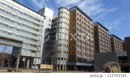 九州大学 工学部 工学部 115703385