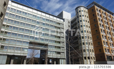 九州大学 工学部 工学部 115703386